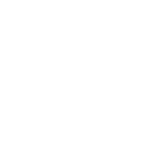 Roccat Turtle Beach Corporation
